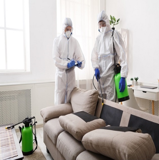 تقييمات عملاء إبادة الحشرات