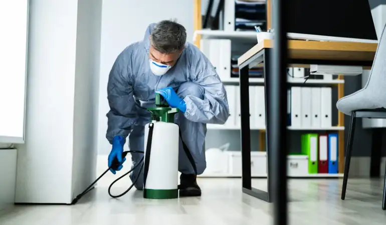 شركة لرش المنزل من الحشرات 01050080115 مجموعة سيرفيس الالمانية