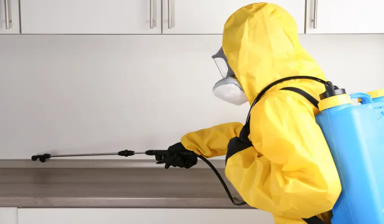 افضل شركة ابادة الحشرات في مصر 01050080115 مجموعة سيرفيس الالمانية