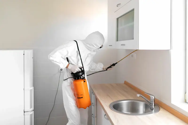 شركة ابادة حشرات الشروق: 10 مخاطر صحية ومادية تهدد منزلك