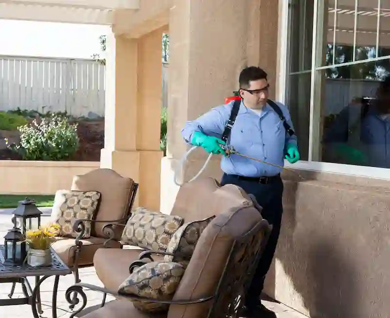 ابادة حشرات الشروق 4 إجراءات وقائية تمنع عودة الصراصير والفئران مرة أخرى