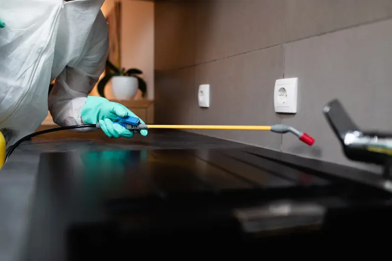 مكافحة الحشرات في التجمع الخامس: 6 نصائح ذهبية للحفاظ على الفيلات والشقق خالية من الآفات