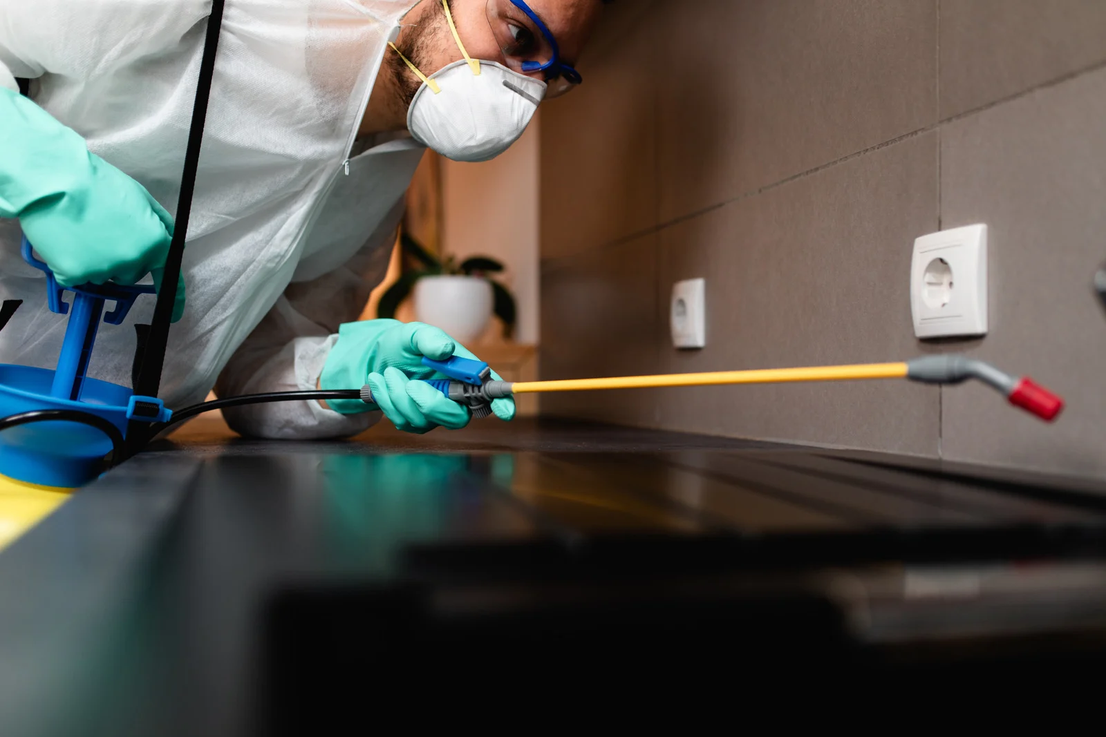 شركة مكافحة الصراصير التجمع الخامس: 7 حلول ألمانية للقضاء على الصراصير نهائياً