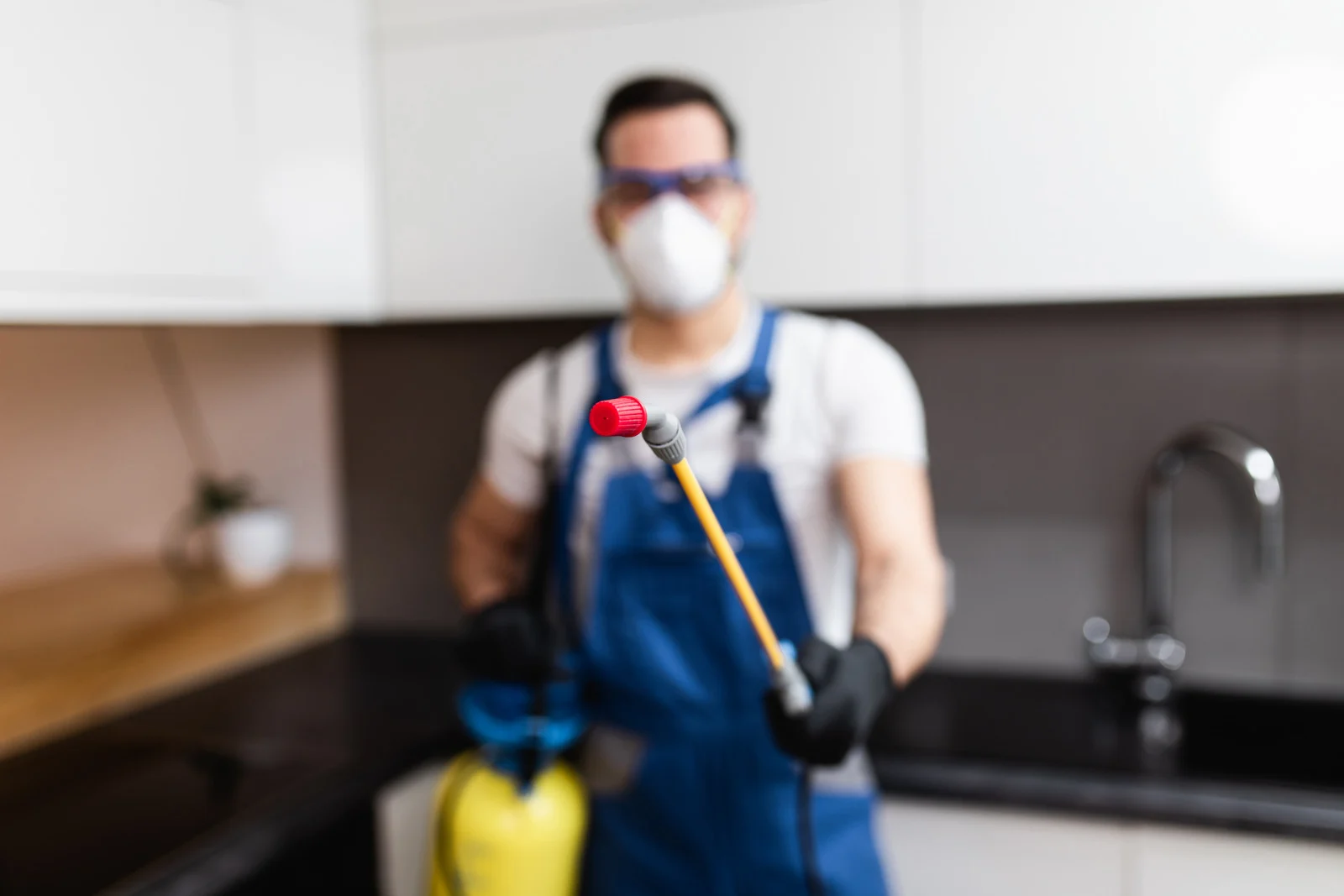 مكافحة حشرات الشروق: 4 أخطار خفية تهدد فلل وعمارات المدينة وكيف تنهيها من الجذور