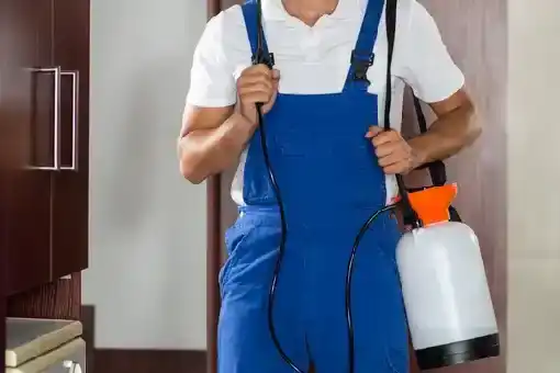 افضل شركة مكافحة حشرات في مصر 01050080115 بأقل الأسعار وأعلى جودة